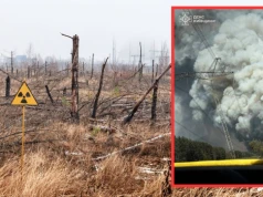 Wielki pożar w rejonie Czarnobyla. Pali się strefa wykluczenia