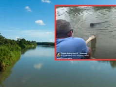 Zauważyli coś w wodzie. Akcja ratunkowa na rzece