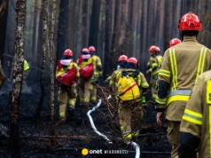 Przełom w Puszczy Solskiej. "Na ten komunikat czekaliśmy od wielu dni"