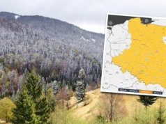Synoptycy straszą przed weekendem. Duże ochłodzenie, burze i ściana deszczu. IMGW ostrzega