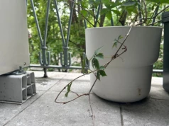 Czarne ślady po donicach i brudne fugi znikają bez skrobania. Balkon wygląda jak po remoncie
