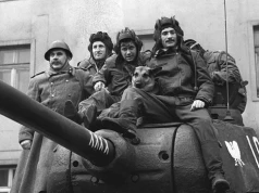 Deszcze niespokojne potargały sad – 60 lat temu miał premierę serial „Czterej pancerni i pies”