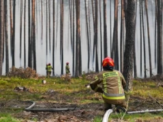 Pożar na Roztoczu opanowany. 300 strażaków dogasza pogorzeliska w Puszczy Solskiej