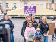 Łańcuchy wciąż trzymają mocno. Mecenas Skorupska-Stanek o kryzysie ochrony zwierząt