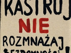 W dniu urodzin zmarłego posła Łukasza Litewki protestowali na Rynku Głównym