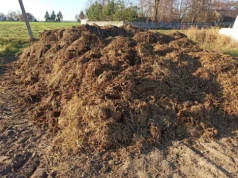 Holandia zalewa Europę obornikiem. Ponad 1 mln ton nawozu trafiła na eksport