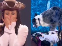 BURZA po finale "Mam Talent!". "Kpina. Piesek wygrał z prawdziwymi talentami"