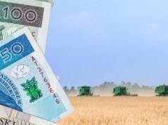 Masz ziemię z zasiedzenia? Sprawdź, kiedy możesz ją sprzedać