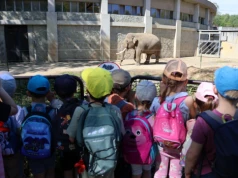 Dzień pełen wrażeń. Przedszkolaki z Czeskiego Cieszyna odwiedziły zoo