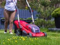 Skoszona trawa to nie odpad. Za jeden błąd możesz zapłacić nawet 500 zł