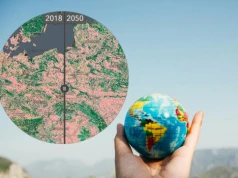 Tak może zmienić się świat w 2050 roku. Opracowali specjalną mapę. Co z Polską?