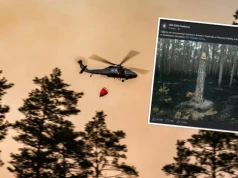 Strażacy dogaszają ogień w Puszczy Solskiej. Sieć podbija jedno zdjęcie