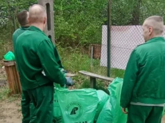 Osadzeni z Zakładu Karnego w Siedlcach sprzątali uroczysko Sekuła. Wspólna akcja z nadleśnictwem