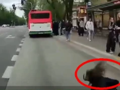 O krok od tragedii. Przewróciła się wpadając pod autobus komunikacji miejskiej, wszystko nagrała kamera