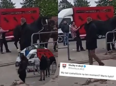Pajęczno: dorożkarz znęcający się nad końmi dostał szybką karmę i kopa na twarz