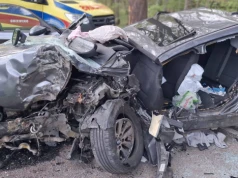 Samochód uderzył w drzewo. Pięć osób poszkodowanych, w tym troje dzieci