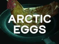 Kulinarne wyzwanie w sercu mroźnej dystopii. Arctic Eggs na Steama już za 5 zł w Kinguinie! Tanio jak nigdy