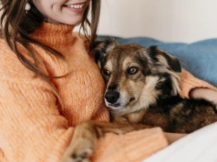 Kamieńsk walczy z bezdomnością zwierząt. Są pieniądze na sterylizację i adopcje