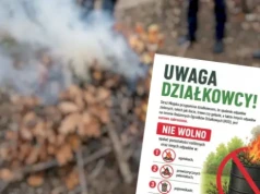 Uwaga Działkowcy: Koniec z paleniem liści i gałęzi. Straż Miejska przypomina o karach