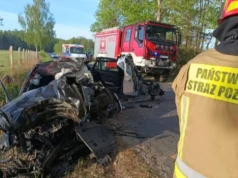 Łoś wybiegł na drogę tuż pod nadjeżdżające auto. Kierowca zmarł
