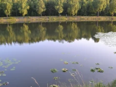 Złap kolor na Wesołej! Przygoda i konkurs z aparatem w dłoni