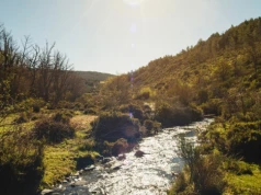Nie Mazury i nie Tatry. Ten region ma ciszę, lasy i widoki, które potrafią zaskoczyć