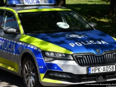 Tragedia podczas wycinki drzew. Nie żyje 43-letni mieszkaniec powiatu sanockiego