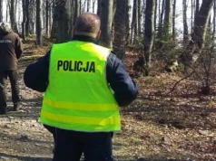 Tragedia na Podkarpaciu. 43-latek zginął podczas wycinki drzew