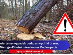 Śmiertelny wypadek podczas wycinki drzew. Nie żyje 43-letni mieszkaniec Podkarpacia
