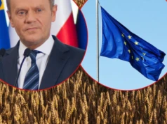 Zaskakujący ruch rządu Tuska ws. Mercosur! Zaskarżył umowę do TSUE