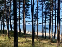 Wracają opłaty nad Bałtykiem. Nawet 35 złotych od osoby