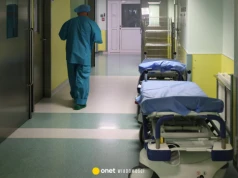 Alarm w holenderskim szpitalu. Popełnili błąd przy kontakcie z hantawirusem