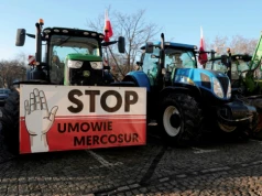 Polska skarży Mercosur do TSUE. Blokowanie importu żywności na wszelkie sposoby. "Skażony kurczak dotarł do Europy"