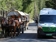 Internauci komentują nagranie spod Morskiego Oka. Jedni piszą "Wstyd", inni "Koń zawsze pracował"