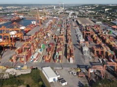Port Gdynia przeładował blisko 200 tys. ton zbóż więcej niż rok wcześniej