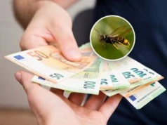 "Inwazja" groźnego owada z Azji. Niemcy wypłacą 2 tys. euro nagrody