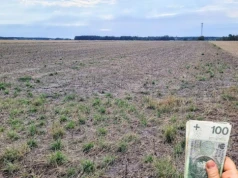 Miał polisę, a ARiMR i tak obcięła pomoc o połowę. Czy przepisy się zmienią?