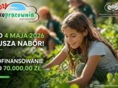 WFOŚiGW w Katowicach ogłosił nabór wniosków w konkursie Ekopracownia pod chmurką!