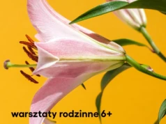 Warsztaty Rodzinne. Tajemne życie roślin