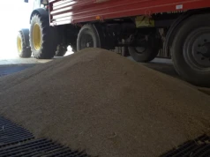 Sprzedali zboże i nie zobaczyli pieniędzy. Prokuratura liczy straty rolników