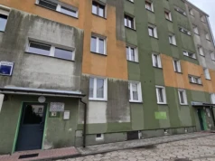Smród i kilkanaście kotów w jednym mieszkaniu. Mieszkańcy bloku przy Roosevelta mają dość