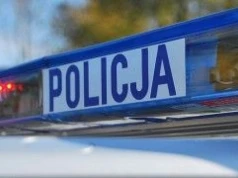 Policjant wydalony ze służby. Nie skrócił cierpienia rannego zwierzęcia