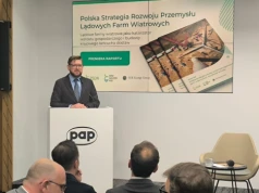 Miliardy dla polskich firm – jest plan PSEW na rozwój lądowej energetyki wiatrowej