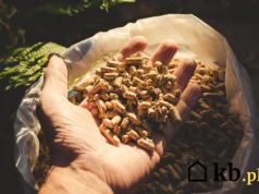 Pellet bez certyfikatu to prosta droga do problemów. Skutki są kosztowne