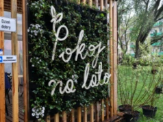 Pokój na Lato przy Muzeum Powstania Warszawskiego rozpoczyna sezon