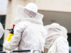 Zabójczy owad sieje popłoch u sąsiada Polski. Władze oferują duże pieniądze