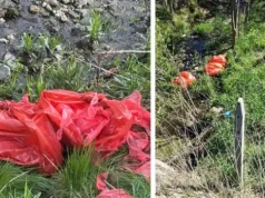 Niebezpieczny incydent w Barczewku! Odpady mięsne wyrzucone do rzeki