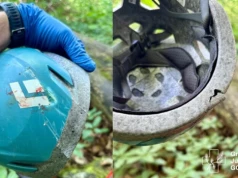 Chwile grozy na Jurze podczas wspinaczki. Kilkukilogramowy głaz spadł na kobietę, życie uratował kask