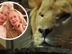 Jako dziecko Melanie Griffith zamieszkała z 200-kilowym lwem. Powód? Matce wydawał się słuszny