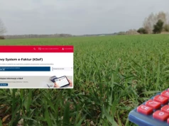 Jeden błąd na fakturze może kosztować rolnika dotację? ARiMR wyjaśnia zasady KSeF